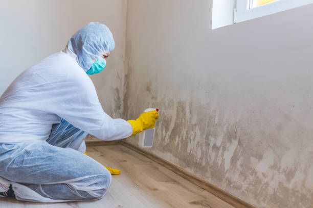 Commercial Mold Remediation assessment for commercial property in New Oxford